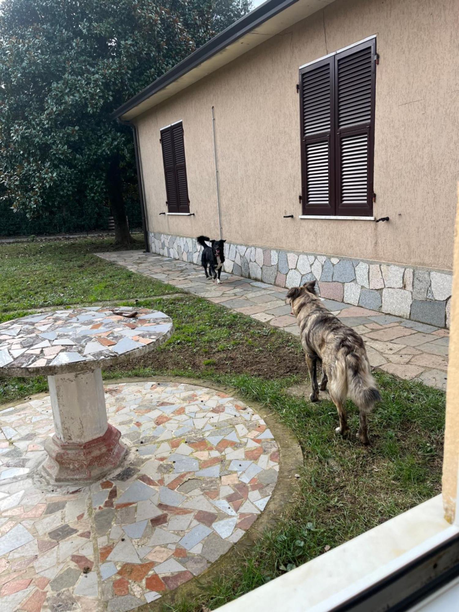 Casavacanze Azzurra * Sarzana
