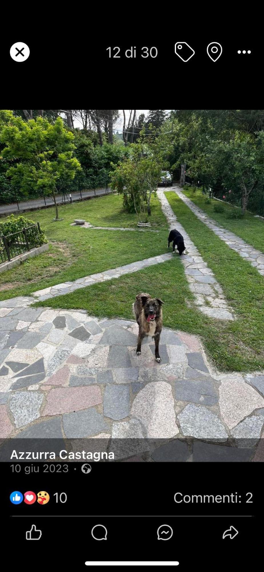 Casavacanze Azzurra Holiday home *